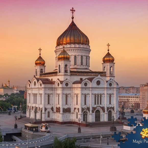 Meet your Posher, Shirrley - Picture 1 of 1